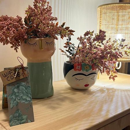 Pis Amb Molt D'Encant Al Centre D'奥洛特 外观 照片